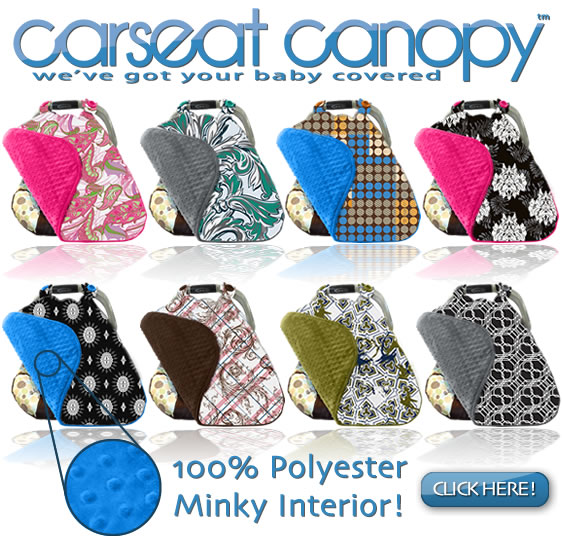 Free carseat canopy just pay shipping hotsell